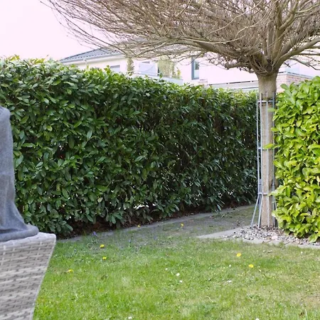 Inselblume 36 - Schöne In Neue Tiefe Neue Tiefe Fehmarn