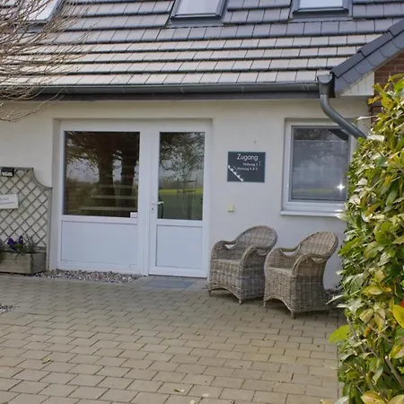 Inselblume 36 - Schöne In Neue Tiefe