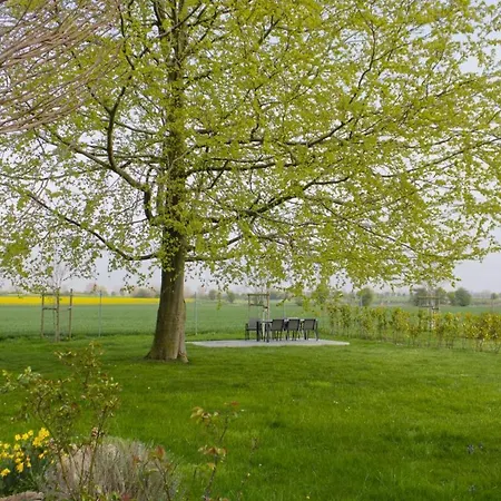 Inselblume 36 - Schöne In Neue Tiefe Neue Tiefe Fehmarn