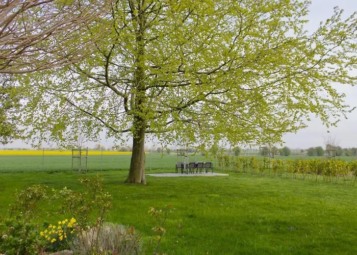 Inselblume 36 - Schoene In Neue Tiefe Neue Tiefe Fehmarn